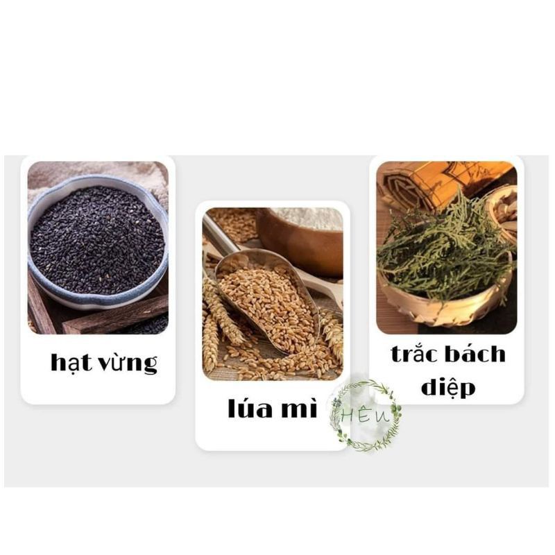 Dầu gội MOFAJANG KING GINGER ngăn rụng tóc, giảm bết dầu