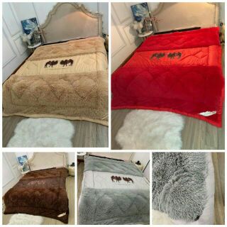 Chăn cừu lông dài nhập khẩu - Ảnh thật. ib chọn mẫu