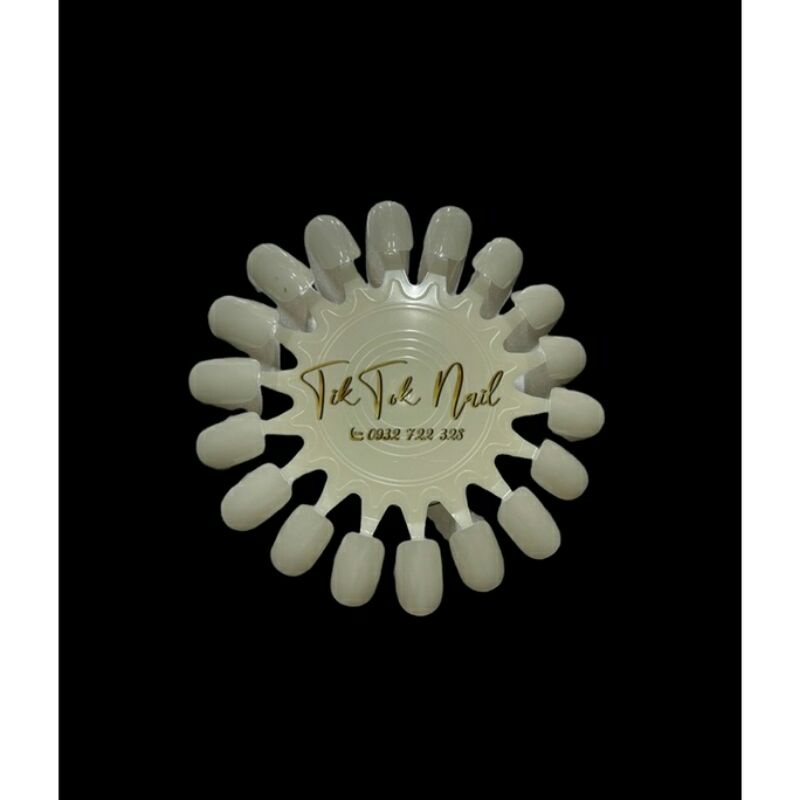 móng vỉ làm bảng màu 10 vỉ