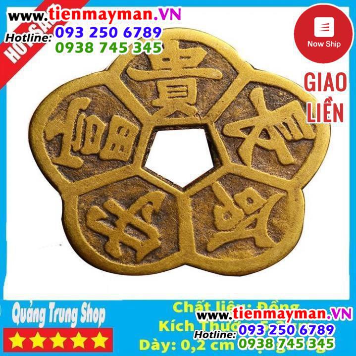 Đồng Tiền Hoa Mai ⭐FREESHIP⭐ Kim Tiền Tài Lộc | BigBuy360 - bigbuy360.vn