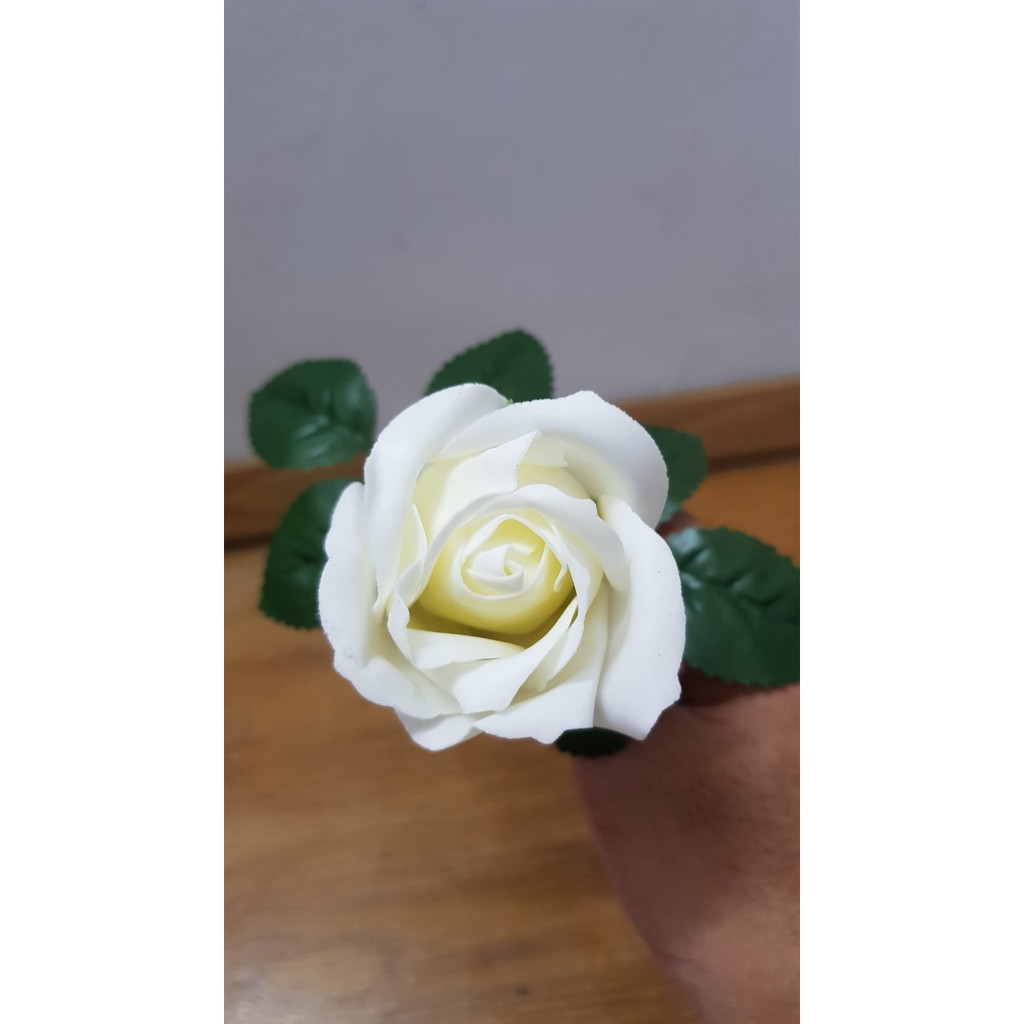 Hoa hồng sáp nguyên cành có lá