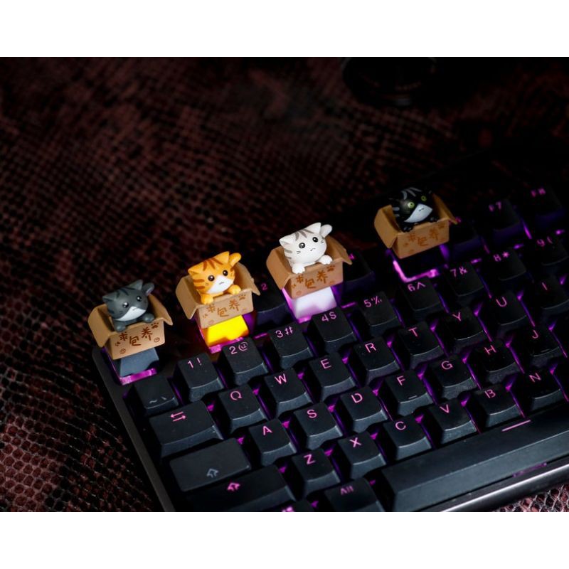 Keycap bé mèo trong hộp (baby cat in box), trang trí bàn phím.