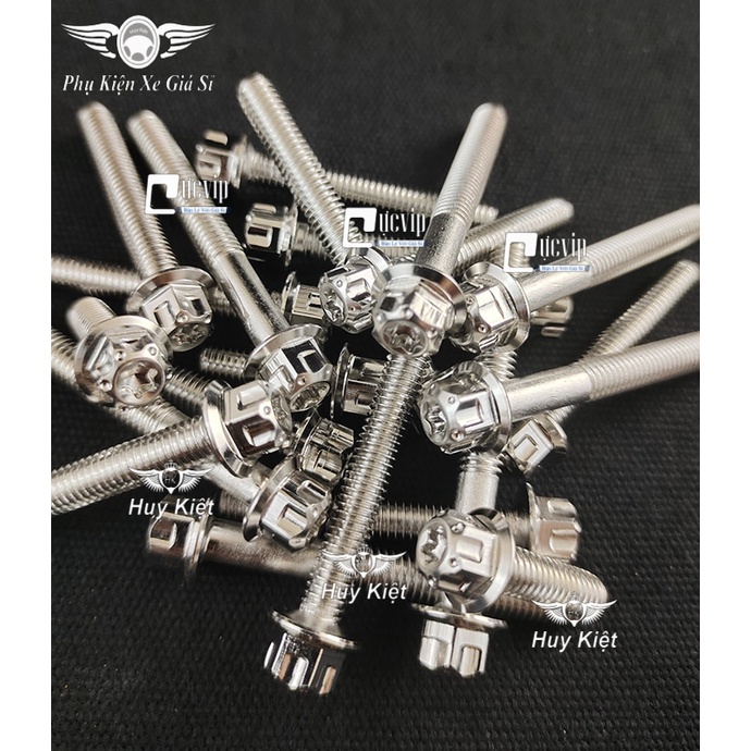 Bộ Ốc Lốc Máy Salaya Inox 304 Cho Wave RS (14 Con) MS4906