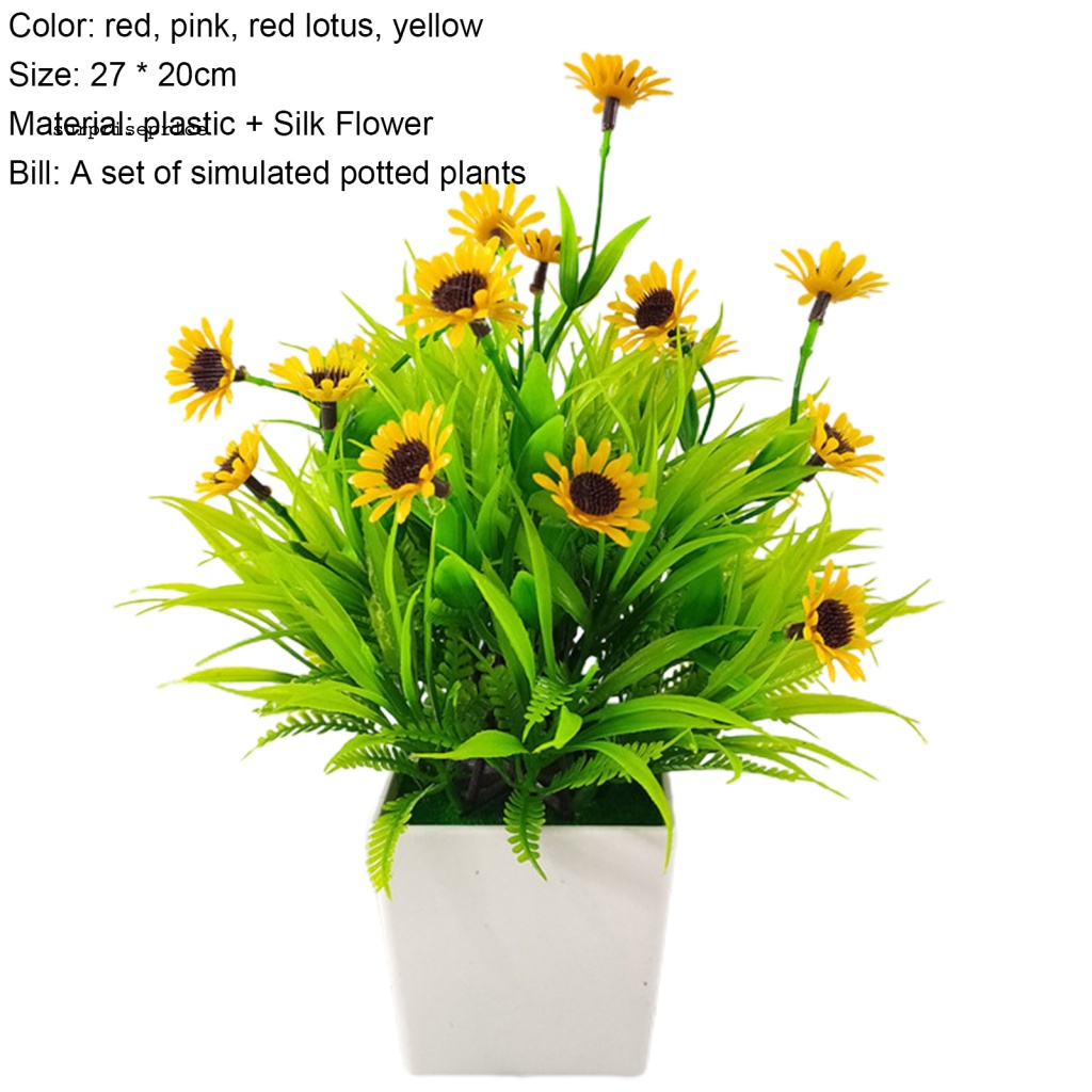 Spa 1 Bộ Chậu Cây Bonsai Thực Tế Bắt Mắt