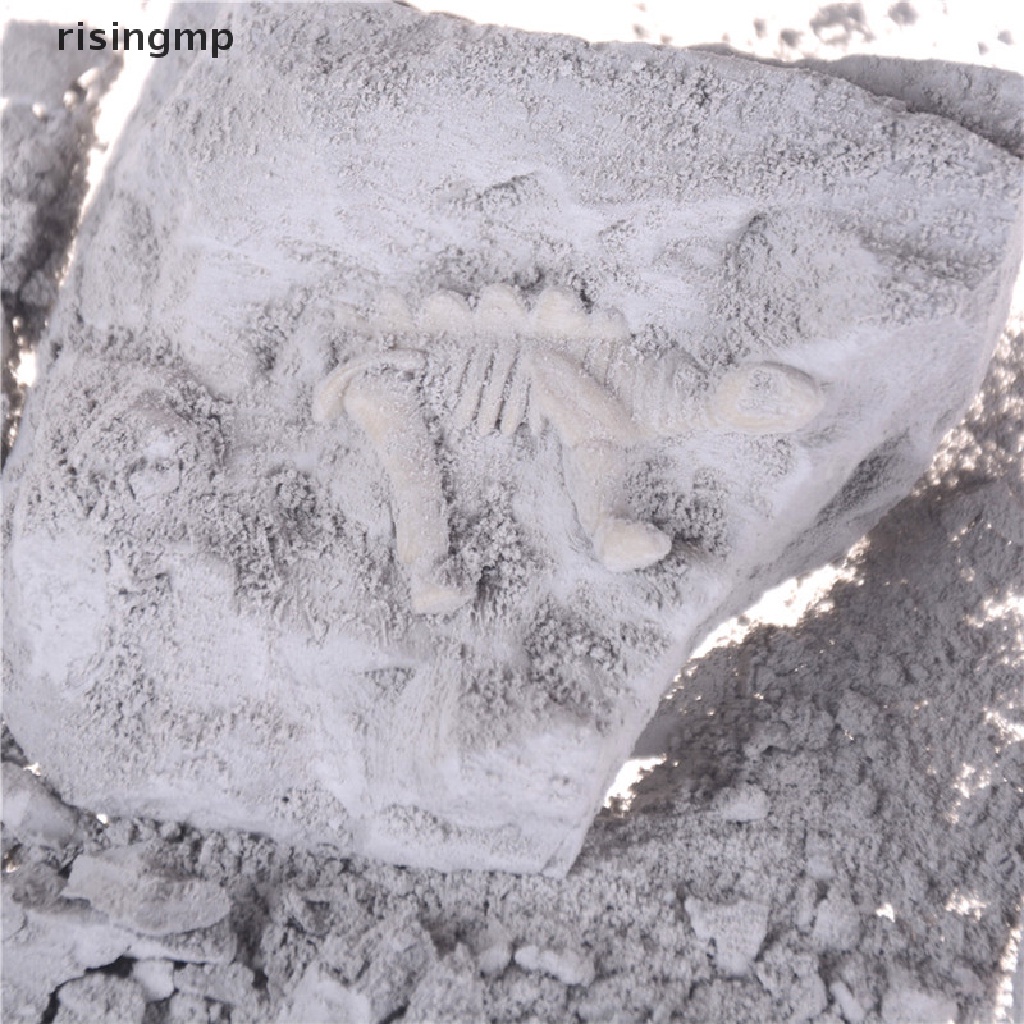 Bộ Đồ Chơi Khai Quật Hóa Thạch Khủng Long Cho Bé ♨Trên đó