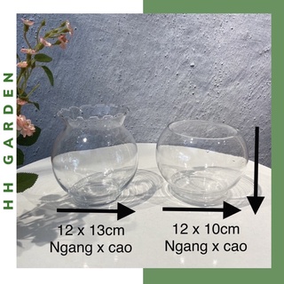 Bình thủy tinh dáng tròn nhiều cỡ, bình cắm hoa trồng cây nuôi cá thủy sinh thủy canh