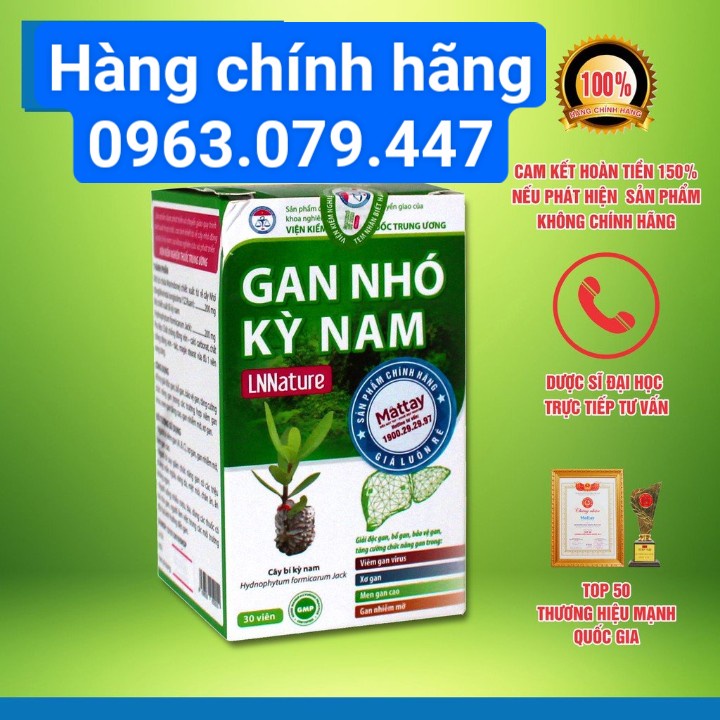 gan nhó kỳ nam hỗ trợ gan, hạ men gan