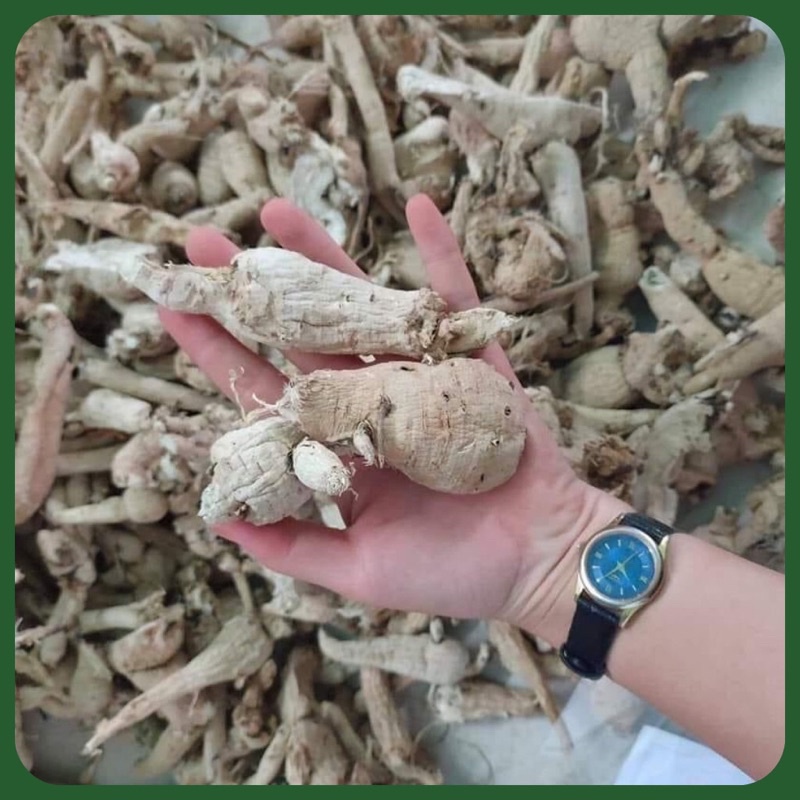 Sâm Bố Chính Khô Thượng Hạng Giúp Tăng Cường Sinh Lý, Gout, Cao Huyết Áp, Tiểu Đường, Bồi Bổ Sức Khoẻ Túi 500gr - 1kg