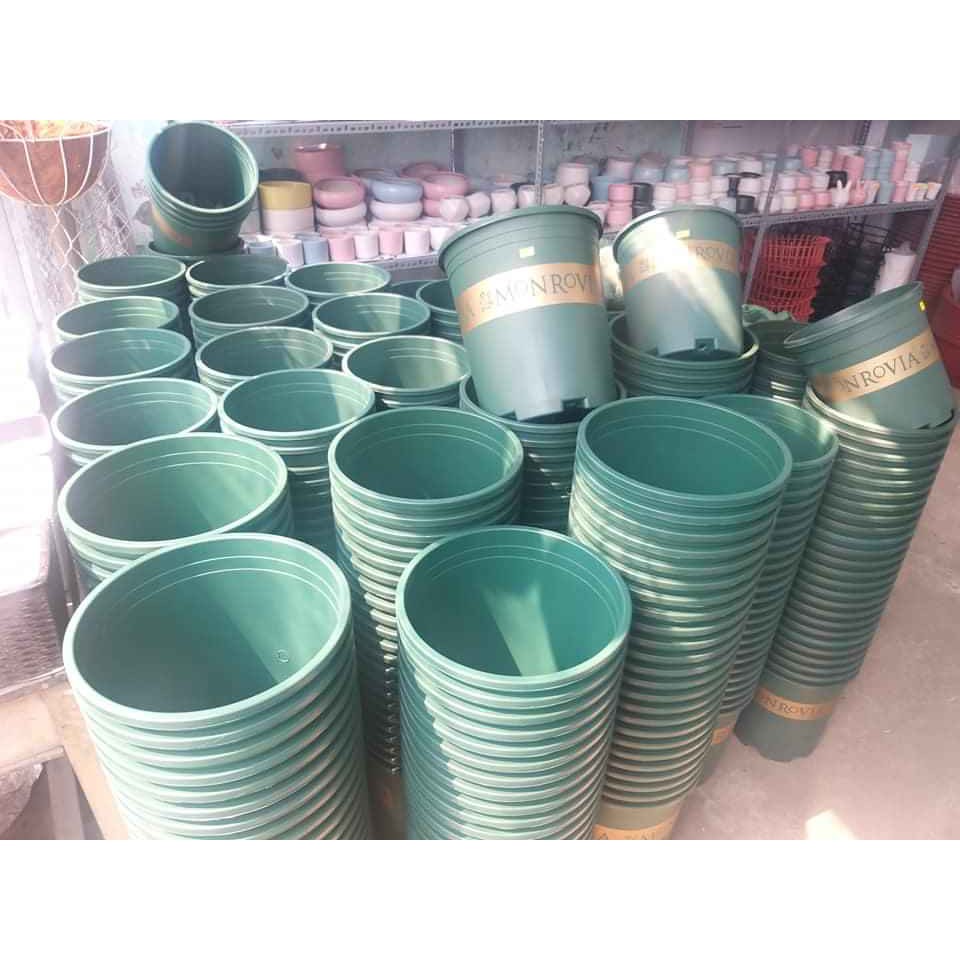 [Giá đẹp] Chậu nhựa trồng cây Monrovia 1gal,2gal,3gal,5gal đủ cực đẹp.