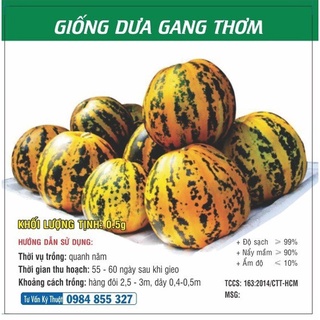 Hạt giống Dưa Gang Thơm TN