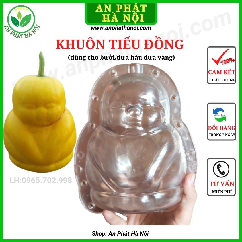 Khuôn Tạo Hinh Trái Cây -Khuôn Bưởi hình Thỏi Vàng, Hồ Lô, Giọt Nước, Tiểu Đồng Loại Đẹp, dày, in chữ Tài Lộc Nét, bền