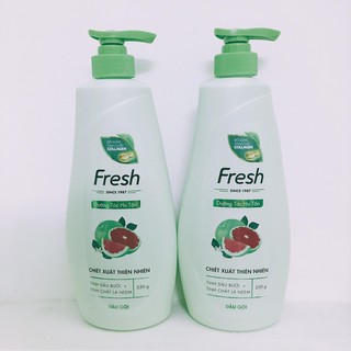 Dầu gội fresh 550g