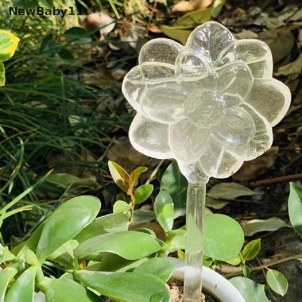 Bình Tưới Cây Tự Động Mini Trong Suốt Siêu Bền Tiện Dụng