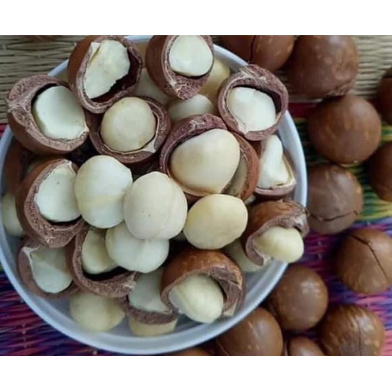 Macca tươi ngon vừa thu hoạch 90k- 500gram