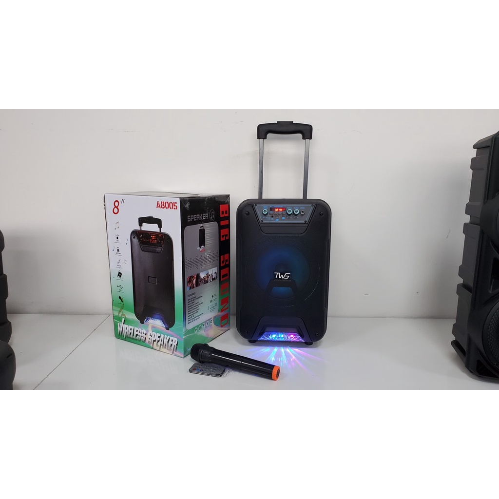 Loa kéo di động Karaoke TWS A-8005.