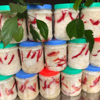 [Măng Chua] Đặc sản Bát Độ - Vườn nhà Lương Sơn - Hoà Bình sạch 100%