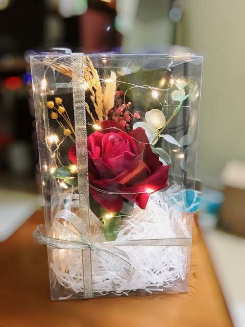 COMBO 10 Hộp nhựa PET đựng bupbe Doll  KT 12x14x23 (cm) | BigBuy360 - bigbuy360.vn