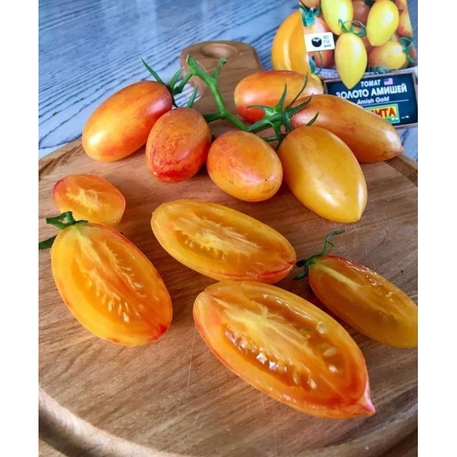 Cà chua trái cây Amish Gold Nga - Tỉ lệ nãy mầm >95%