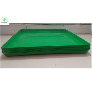 10 Khay/Máng Hứng Phân Chim, Khay Đựng Phân Gà, Khay Hứng Phân Chim Bồ Câu, Kích Thước 49x49Cm