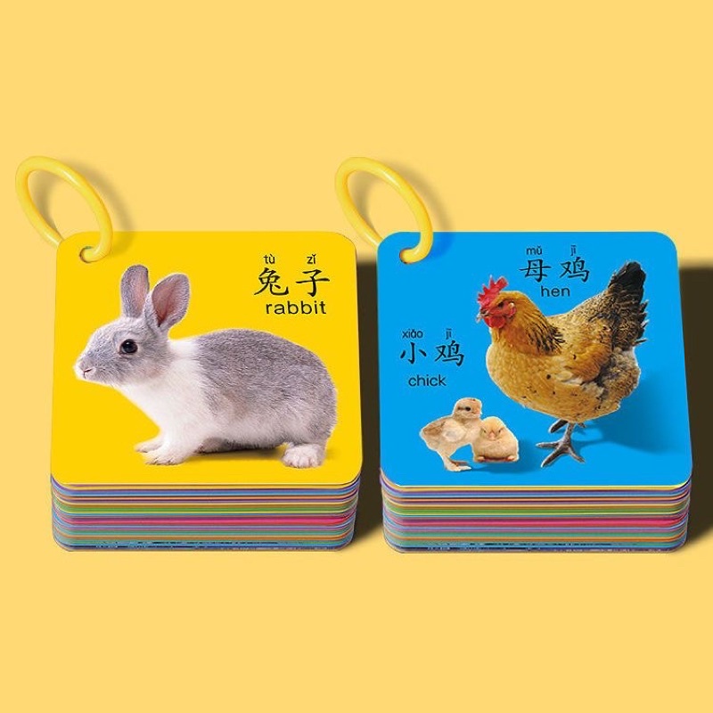 Bộ Flash Card Từ Vựng Trung-Anh Theo Chủ Đề Dễ Nhớ