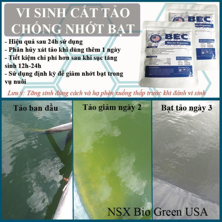 [Hàng Loại 1- Nhập Khẩu]  Vi Sinh Nuôi Tôm Cắt Tảo Độc,Giảm Nhớt Bạt BEC《 Mua 10 Tặng 1》