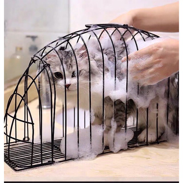 Lồng tắm khô cho mèo