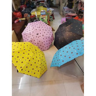 Ô Gấu Brown Gấp Gọn
