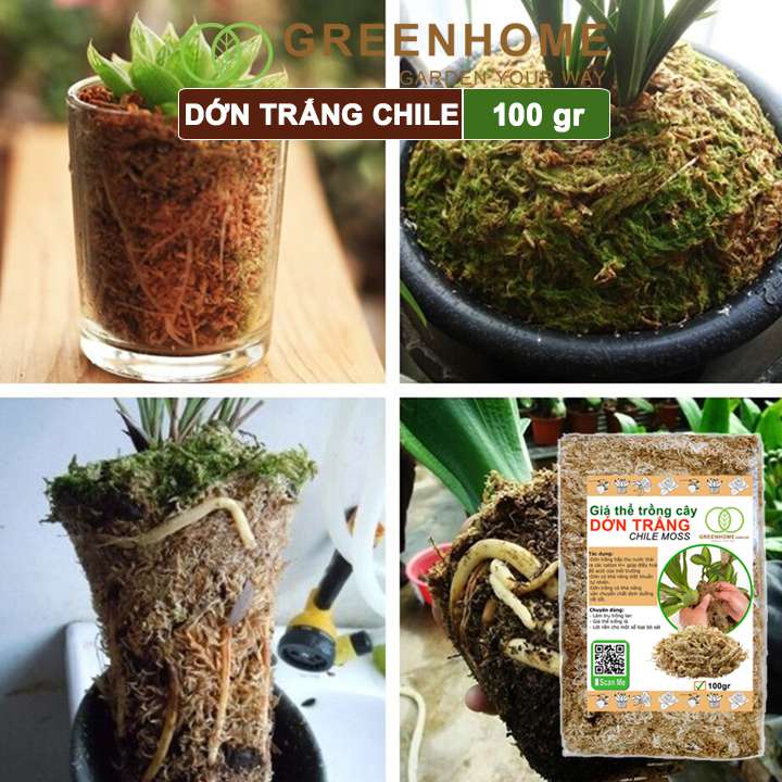 Giá thể dớn trắng Greenhome, gói 100gr, đã qua xử lý, giữ ẩm tốt, kháng khuẩn tự nhiên, trồng lan, kiểng lá