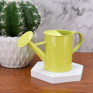 Bình tưới cây đồ chơi có đầu vòi hoa sen bằng sắt 600ML 24*18*10cm trang trí nhà cửa sân vườn