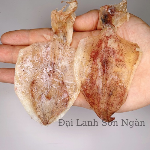 Khô Mực Mini Nhỏ Giá Rẻ, Hàng Trủng Mềm Thịt Ngọt Vị Đảm Bảo Uy tín ( SN- 1 con)