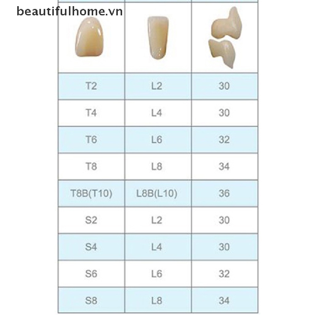 Hộp 28 Răng Nhựa Tổng Hợp Chuyên Dụng Cho Nha Khoa