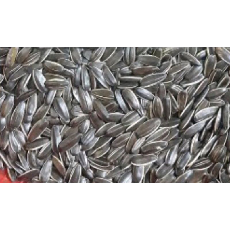 1kg Hại hướng Dương nguyên vị