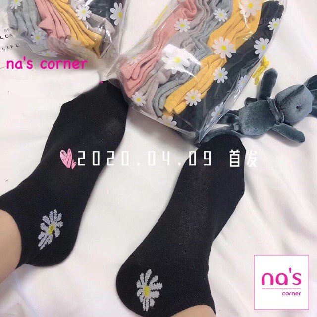 Set 10 đôi tất vớ cao cấp êm mịn kèm túi đựng tiện lợi hình hoa cúc / gấu dễ thương