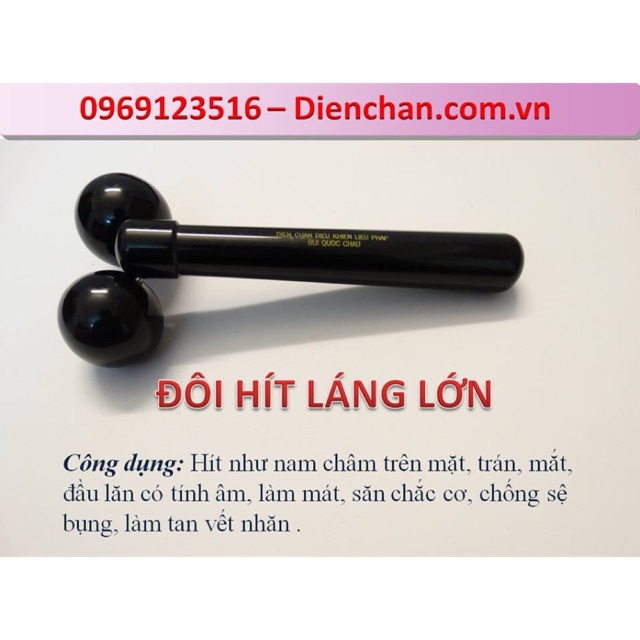 Lăn hít sừng lớn