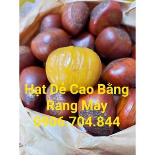 Hạt Dẻ Trùng Khánh Cao Bằng Rang Máy