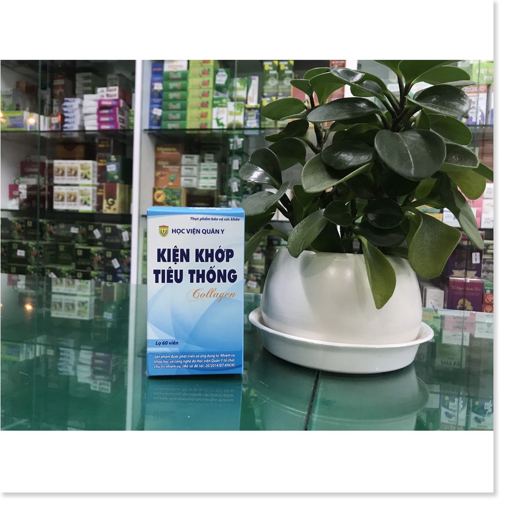 [Mã chiết khấu giảm giá sỉ sản phẩm chính hãng] Kiện Khớp Tiêu Thống Collagen - Giúp hỗ trợ bổ can thận, kiện gân xương,