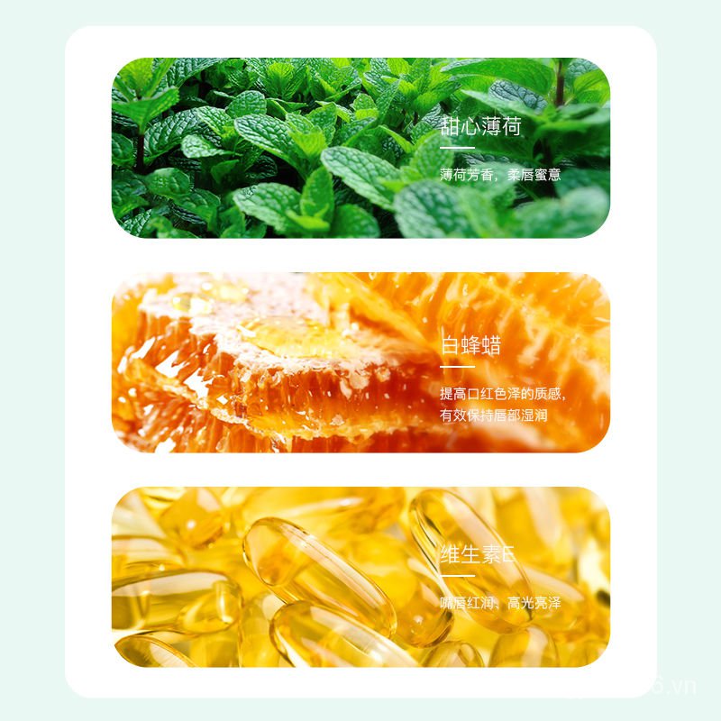 (Hàng Mới Về) Son Dưỡng Môi Cấp Ẩm Không Phai Tẩy Tế Bào Chết Novo | BigBuy360 - bigbuy360.vn