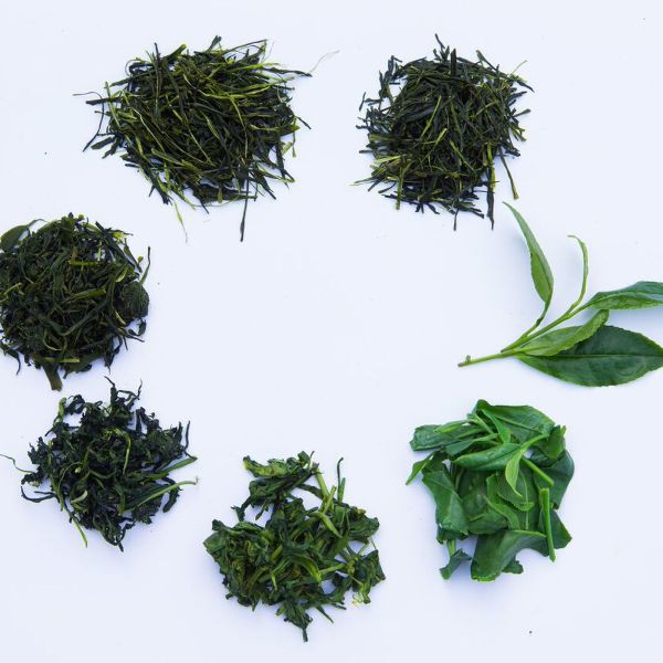 Sencha - Trà Nhật tuyệt phẩm Pha Trà Sữa, Làm Trà Kombucha -> Hương Vị Cỏ dịu nhẹ, màu nước xanh Ngọc Bích!