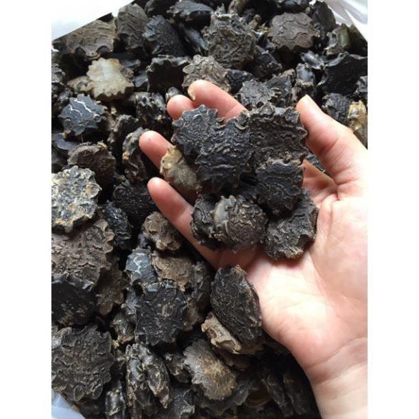 [Mã 267FMCGSALE giảm 8% đơn 500K] 1kg Hạt Gấc Khô (Mộc miết tử) loại tốt | BigBuy360 - bigbuy360.vn