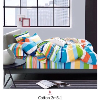 Bộ drap hàn quốc 100% cotton m8-m6