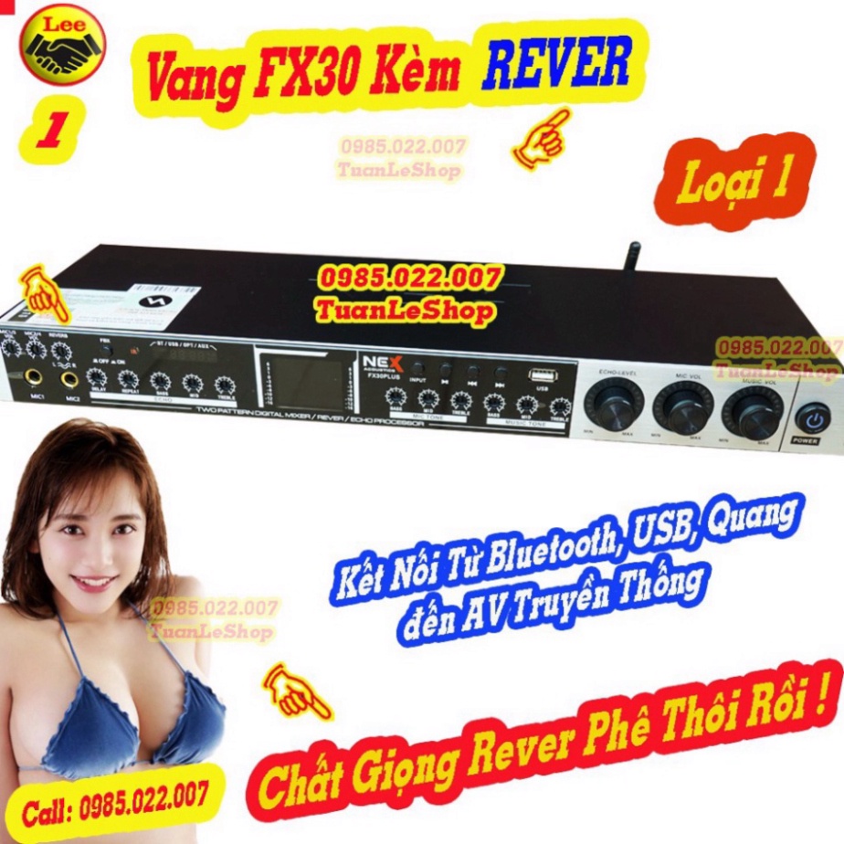 VANG CƠ NEX FX30 PLUS CÓ REVER CAO CẤP – VANG KARAOKE