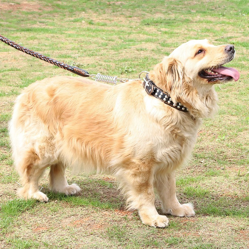 [Mã PET50K giảm Giảm 10% - Tối đa 50K đơn từ 250K] Dây dắt chó đi dạo bằng da cao cấp, chốt khóa lò xo chắc chắn