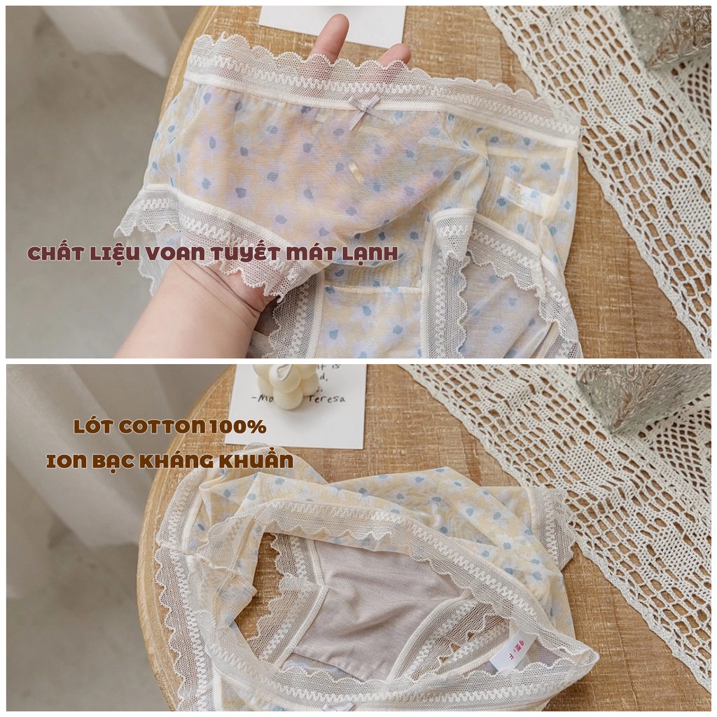 Quần lót nữ voan tuyết Vintage - quần chip nữ đẹp Havana FLQ90