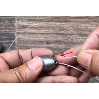 Chì số xuyên tâm câu cá