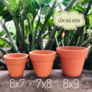 Combo 10 bộ chậu đất nung mini