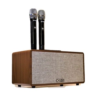 Loa karaoke di động Acnos CS390