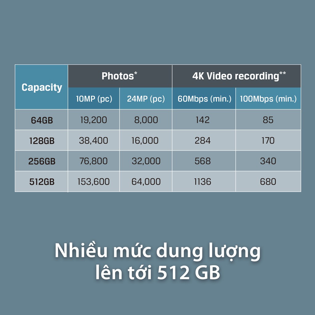 Thẻ nhớ Kingston Canvas Go Plus V30 MicroSD 256GB cho di động Android, camera, flycam và sản xuất video 4K SDCG3/256G