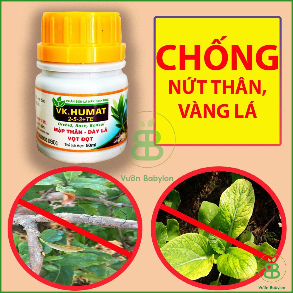 Phân Bón Lá Sinh Học Mập Thân, Dày Lá, Vọt Đọt Vk.Humat 50Ml