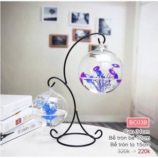 Bể Cá Mini Treo Để Bàn