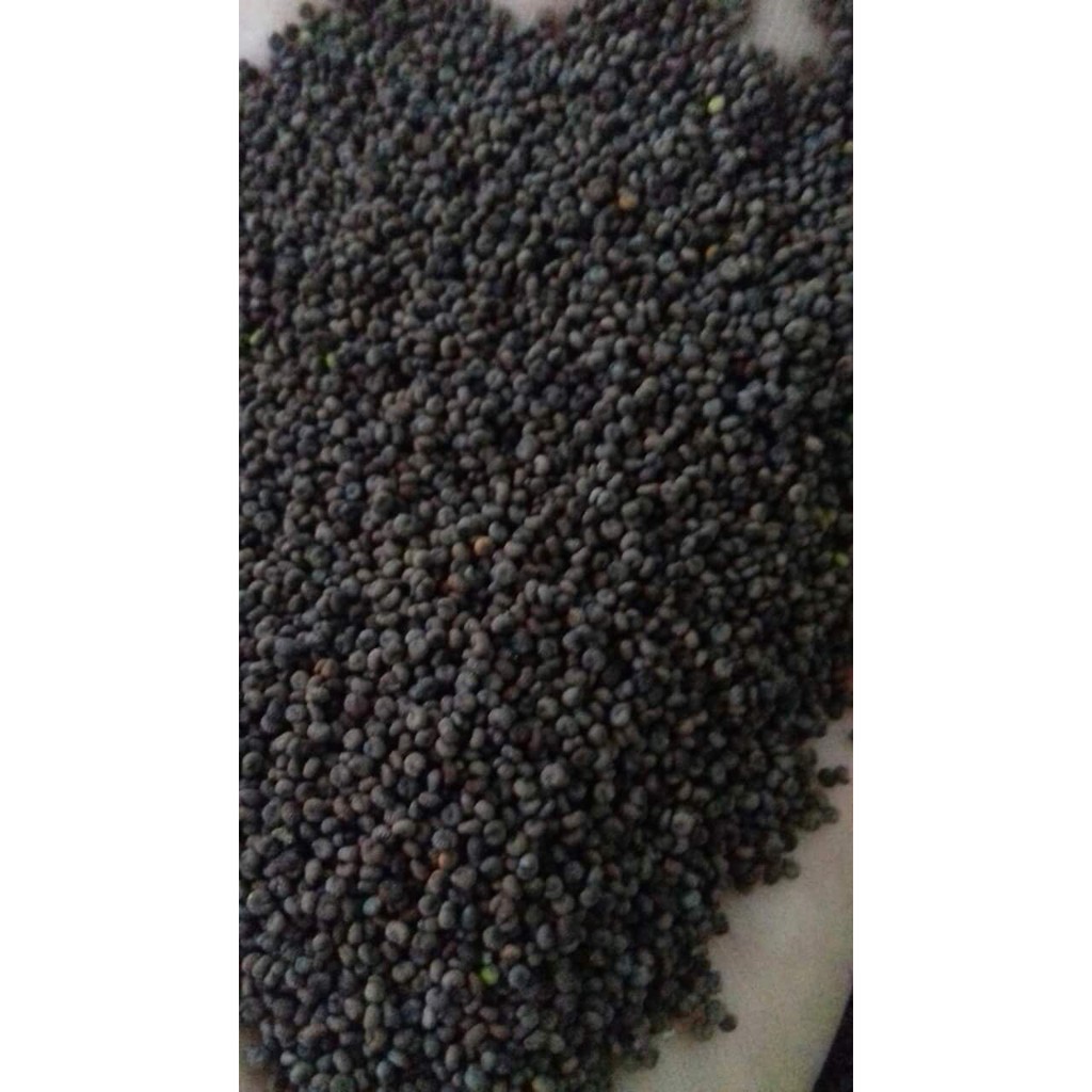 Hạt mần ri hoa vàng 1kg